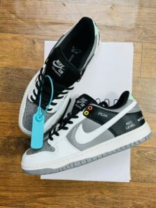 Sb Pro Camcorder Branded Sneaker