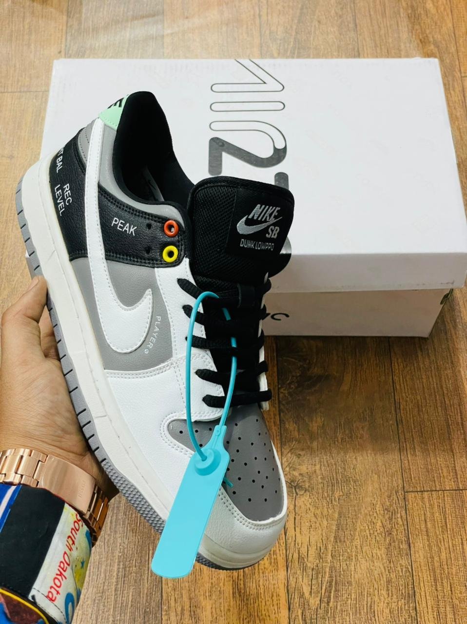 Sb Pro Camcorder Branded Sneaker