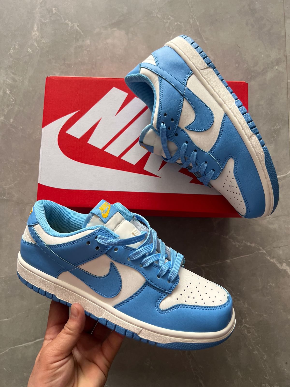 Men's SB Dunk Coast Full-Grain Leather Sneakers