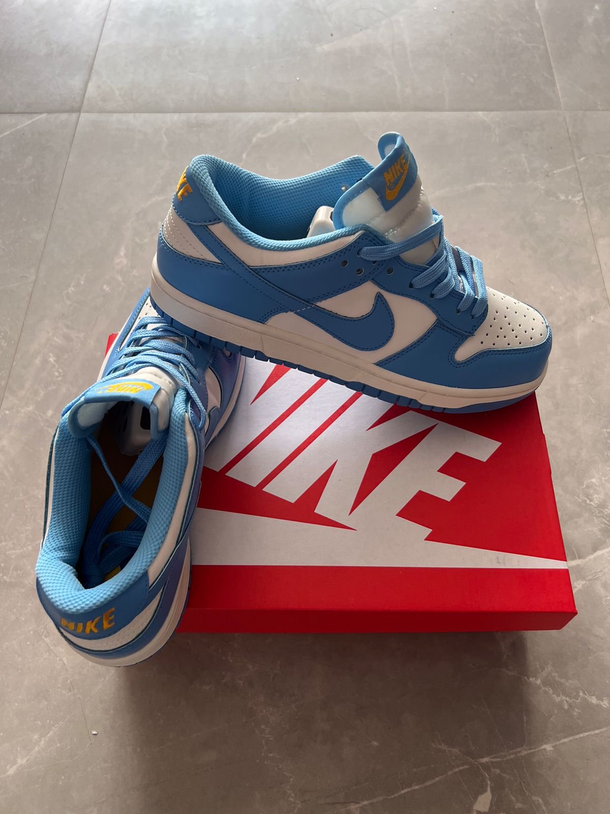 Men's SB Dunk Coast Full-Grain Leather Sneakers