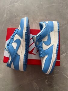 Men's SB Dunk Coast Full-Grain Leather Sneakers 