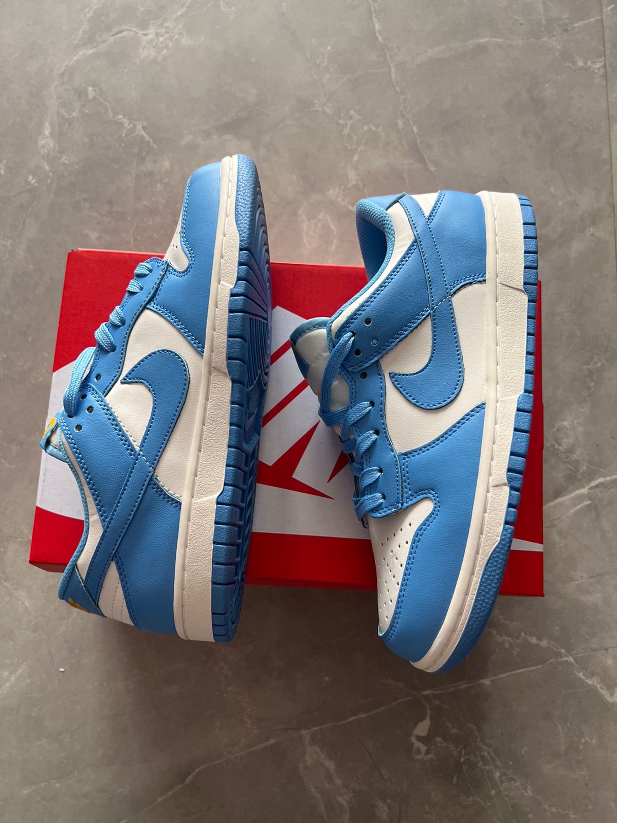 Men's SB Dunk Coast Full-Grain Leather Sneakers