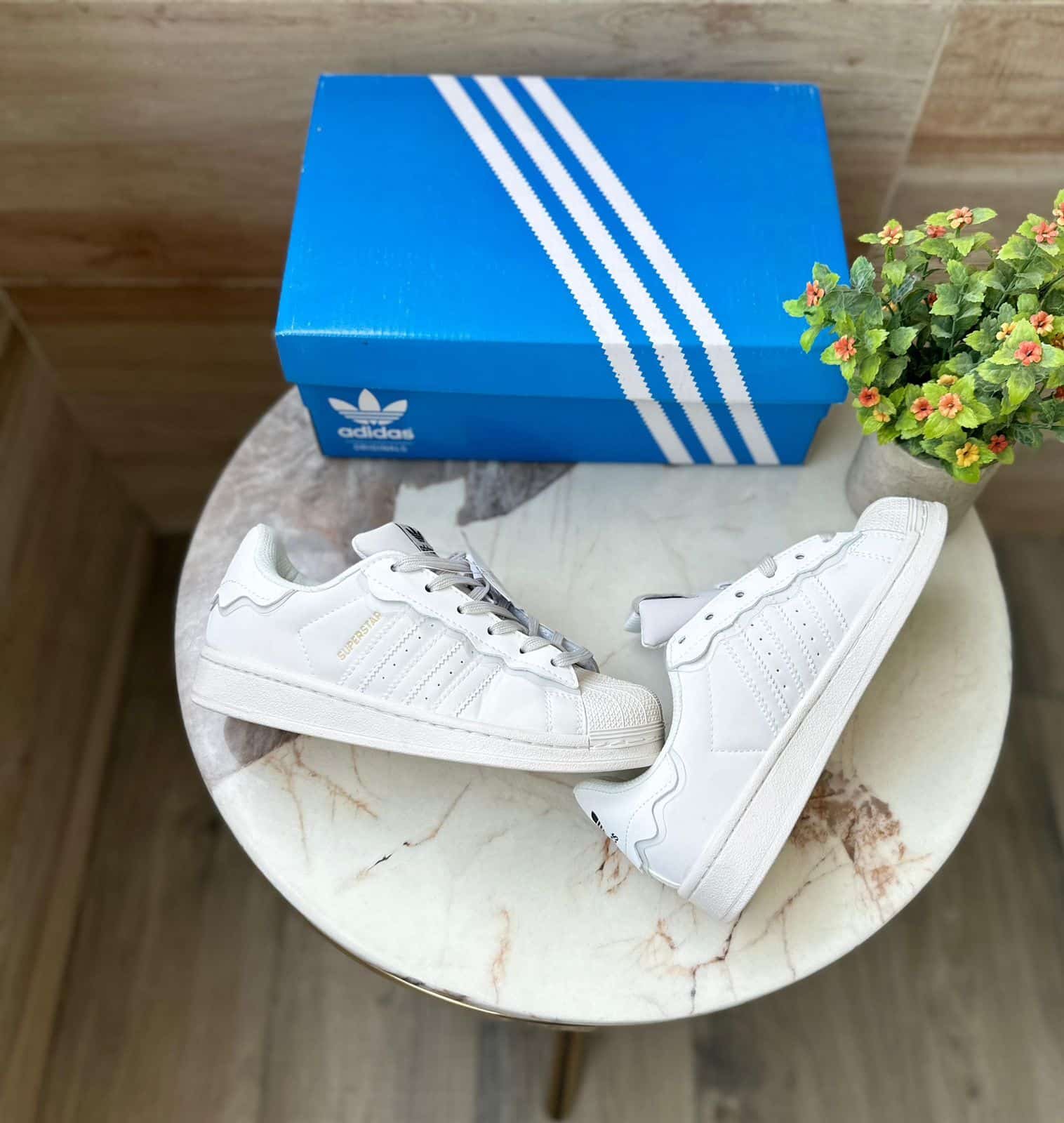 Superstar Cappuccino Sneakers On Sale