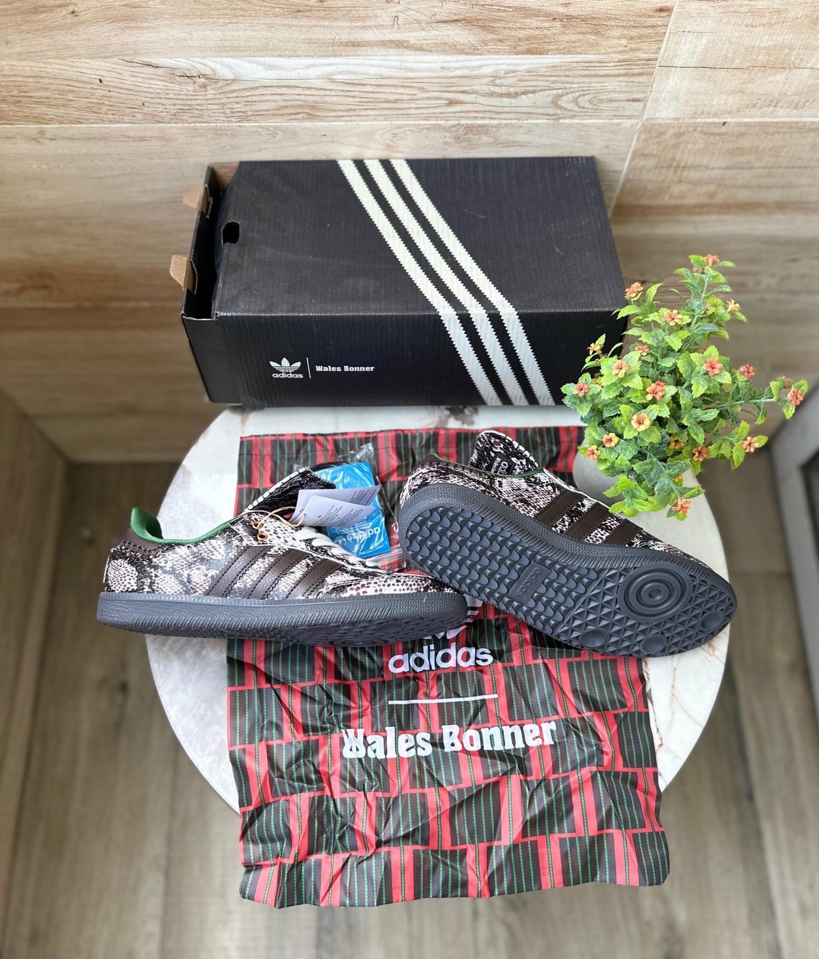 Samba Wales And Boner Snake Skin Shoes