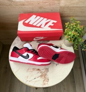 Dunk Pro J Pack Chicago Sneakers On Sale (1)